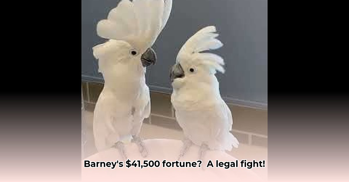 barney-the-west-coast-cockatoo-net-worth
